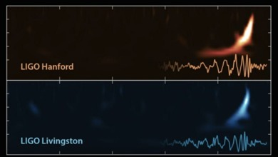 Credit: LIGO collaboration.